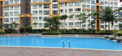 Evergreen Park (D19), Apartment #558469571